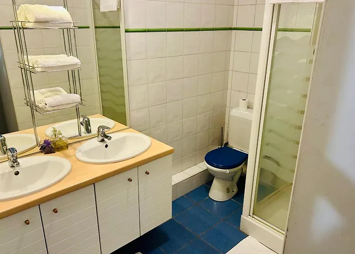 公寓 Magnificent Duplex In A Former Palace 霞慕尼