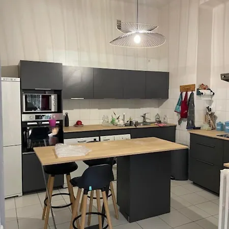 公寓 Magnificent Duplex In A Former Palace